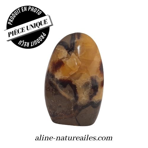 Septaria forme libre AFSTR033